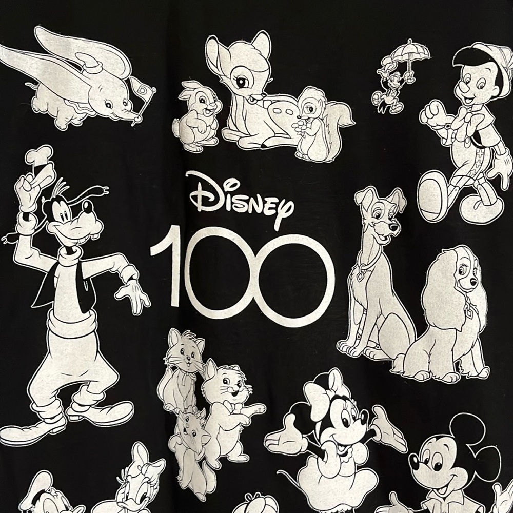 Disney 100 years top size small